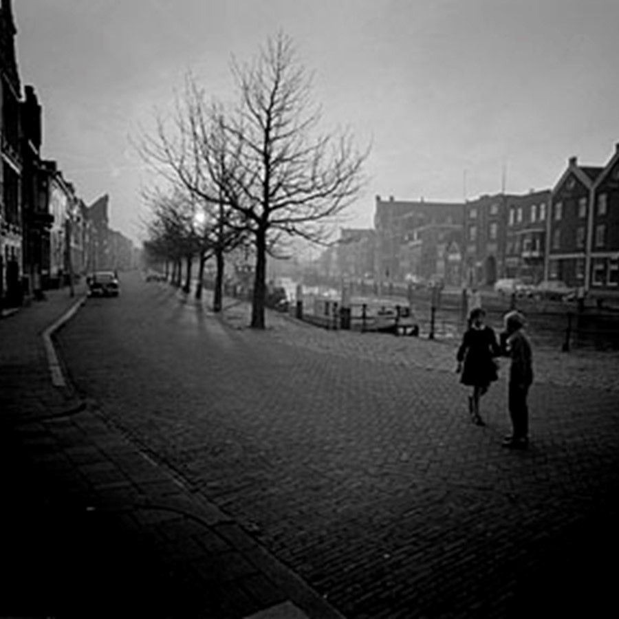 Wolwevershaven Vlak